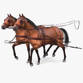 Pair of Breast Collar Harness Walking Pose Fur 3D model